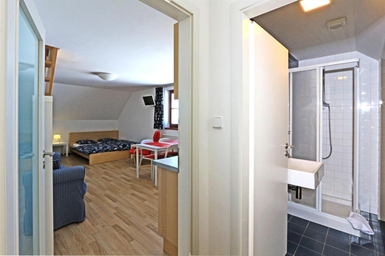 Apartmany Fox Boží Dar Εξωτερικό φωτογραφία